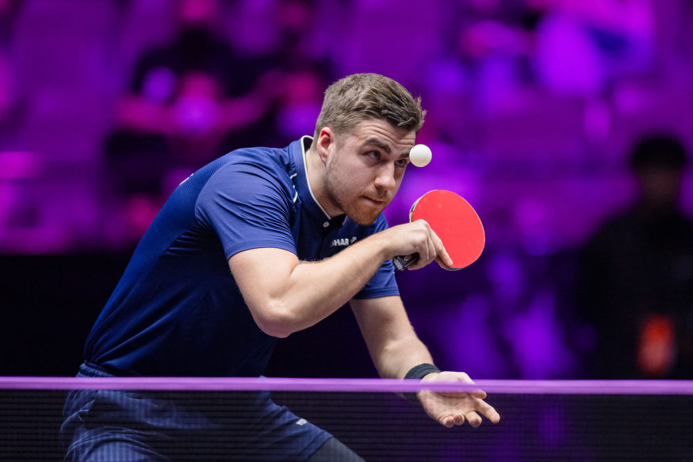 球迷与专家 球迷与专家